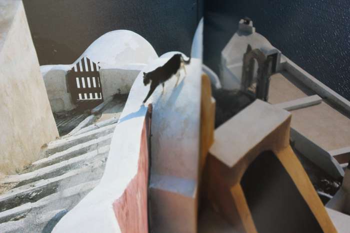CATS IN THE SUN. Hans Silvester. (Combining cats with scenery of the Greek Islands)