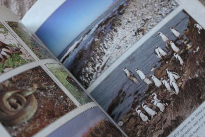 ROBBEN ISLAND  by Charlene Smith  Mayibuye History and Literature Series No 76
