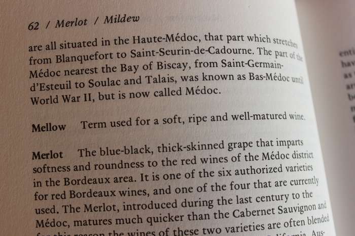 THE SOUTH AFRICAN WINE DICTIONARY. E.H. Bolsmann.   (W)