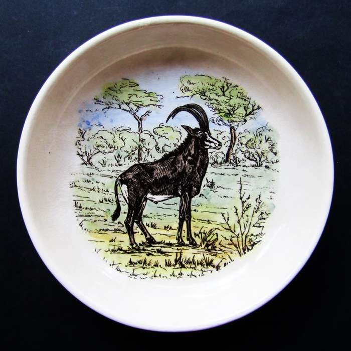 Old Kruger Park Wildtuin Ashtray