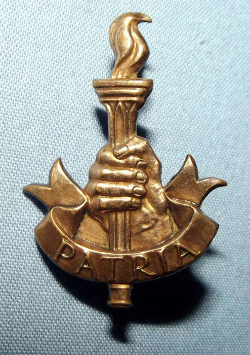 SA Youth Training Brigade Metal Collar Badge
