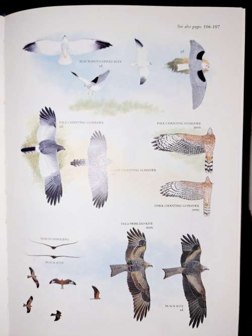 Sasol Birds of Southern Africa-The Region`s Most Comprehensively Illustrated Guide