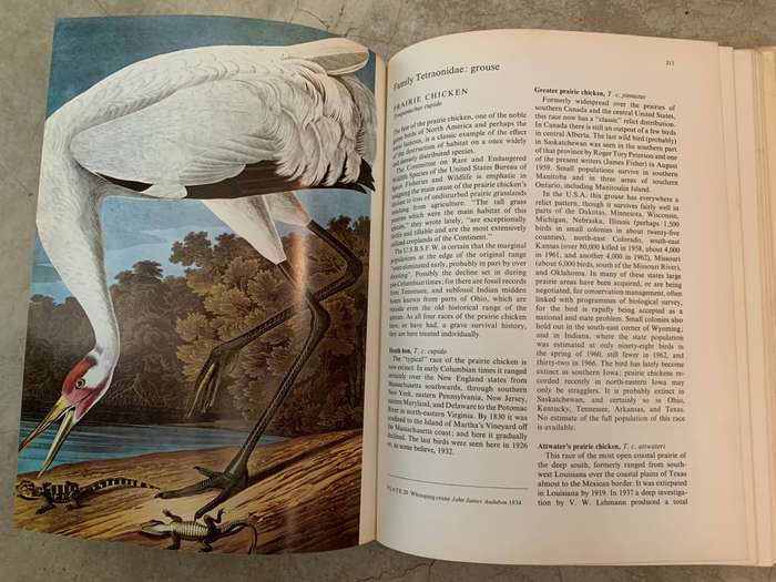 The Red Book: Wildlife in Danger