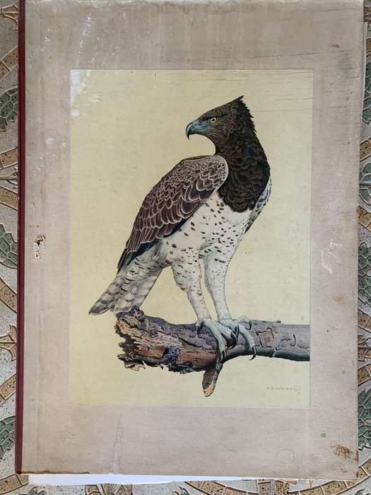 Kenneth Newman Photolithographic Prints Signed