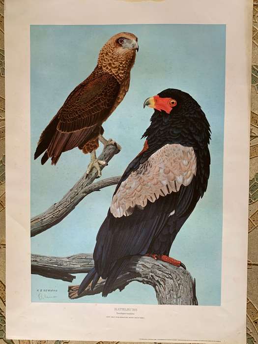 Kenneth Newman Photolithographic Prints Signed