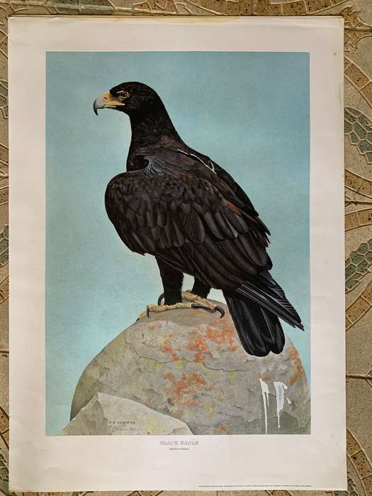 Kenneth Newman Photolithographic Prints Signed