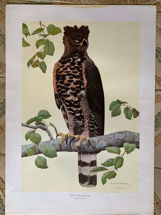 Kenneth Newman Photolithographic Prints Signed