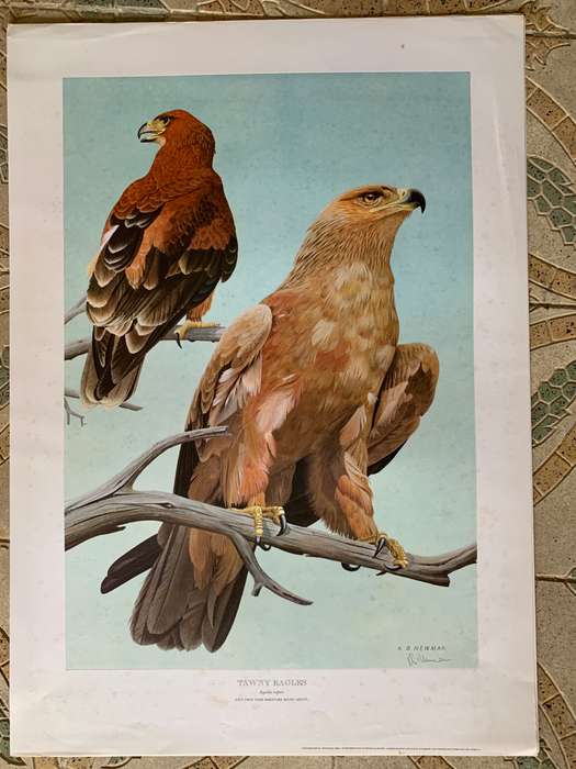 Kenneth Newman Photolithographic Prints Signed