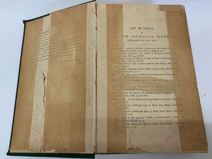 The Birds of South Africa by Edgar Leopold LAYARD