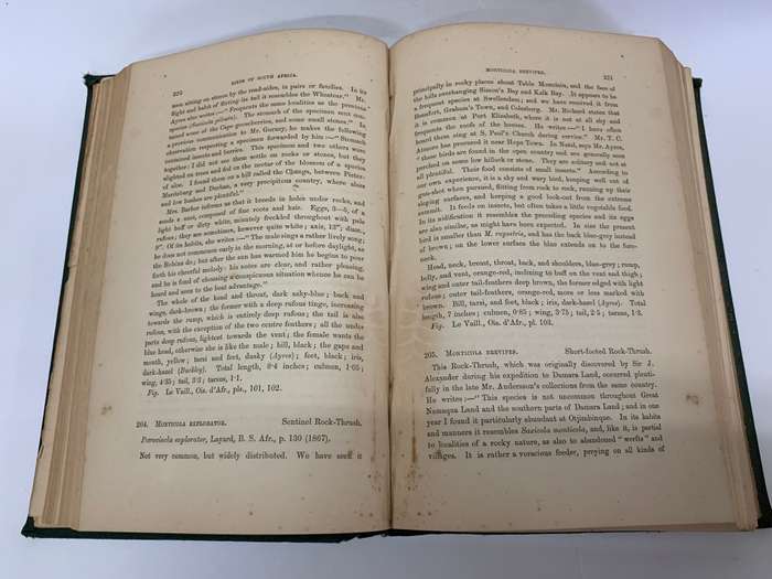 The Birds of South Africa by Edgar Leopold LAYARD