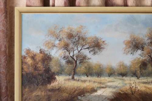 A STUNNING FRAMED AND SIGNED OIL ON CANVAS LANDSCAPE PAINTING BY SOUTH AFRICAN ARTIST BARRY ROSS