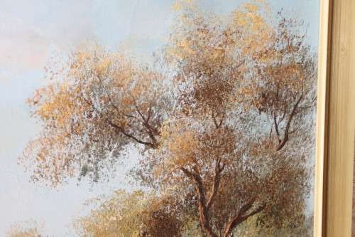 A STUNNING FRAMED AND SIGNED OIL ON CANVAS LANDSCAPE PAINTING BY SOUTH AFRICAN ARTIST BARRY ROSS