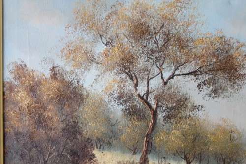 A STUNNING FRAMED AND SIGNED OIL ON CANVAS LANDSCAPE PAINTING BY SOUTH AFRICAN ARTIST BARRY ROSS