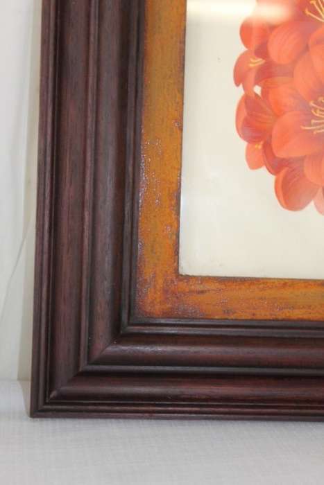 2x STUNNINGLY FRAMED "CLIVEIA" BOTANICAL PRINTS OF THE 1895 BOTANICAL SKETCH CATALOGUE bid/print