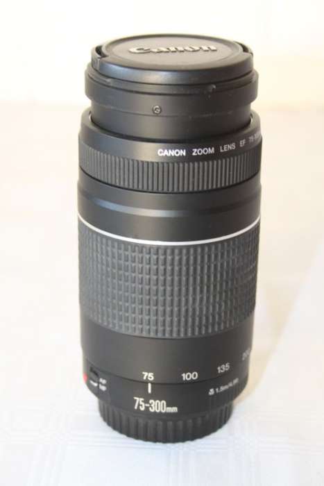 **RS17** A light and versatile Canon 75-300mm 1:4-5.6 macro lens in great condition