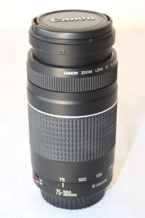 **RS17** A light and versatile Canon 75-300mm 1:4-5.6 macro lens in great condition