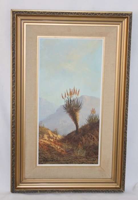An original Jacobi oil on board painting of African Aloe in the mountains of Northern Transvaal