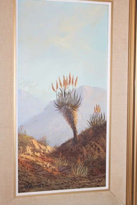 An original Jacobi oil on board painting of African Aloe in the mountains of Northern Transvaal