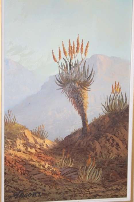 An original Jacobi oil on board painting of African Aloe in the mountains of Northern Transvaal