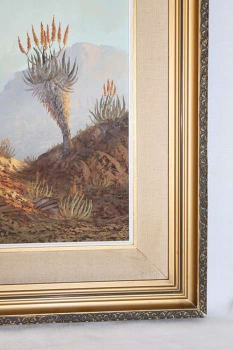 An original Jacobi oil on board painting of African Aloe in the mountains of Northern Transvaal