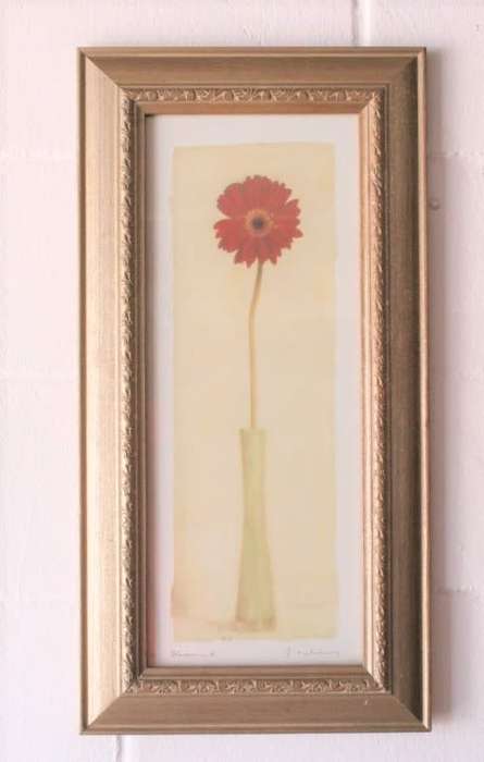 **RS17** A pair of framed (behind glass) single stem flowers in vases incl a tulip & a red daisy