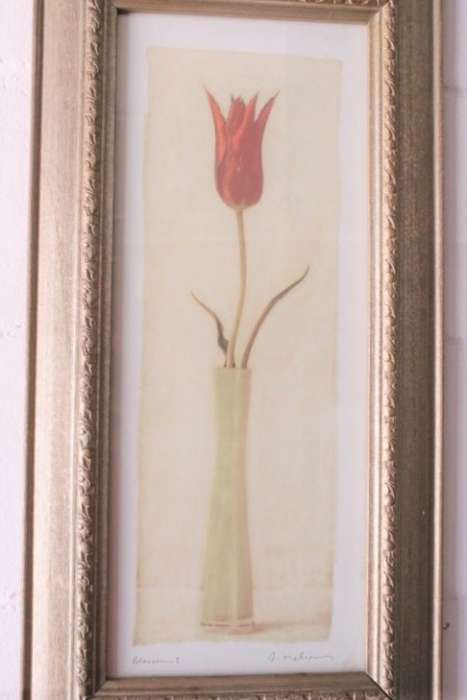 **RS17** A pair of framed (behind glass) single stem flowers in vases incl a tulip & a red daisy