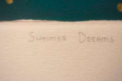 A wonderful signed & numbered (7 of 100) Anine Barnard framed etching titled "Summer dreams"