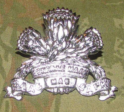 SADF - SSB Cap Badge - Both Screws