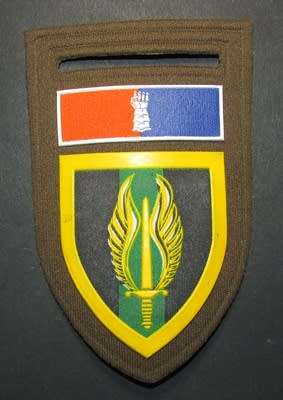 SADF - Regiment N/Transvaal Tupper Flash