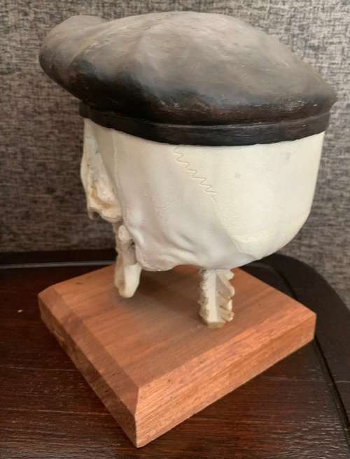 Unusual Item - Life Size 32 Battalion Skull on Base
