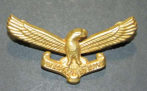 SADF - Air Force Cap Badge