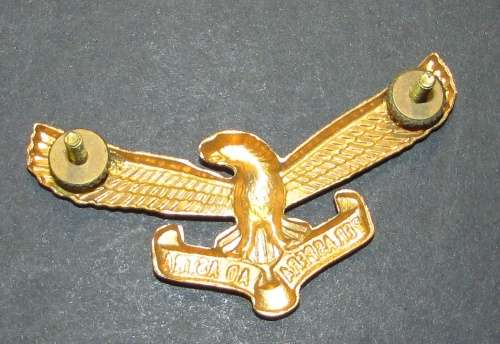 SADF - Air Force Cap Badge