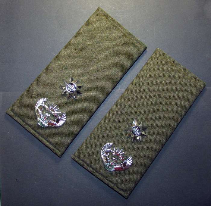 SA Army Slip on Ranks