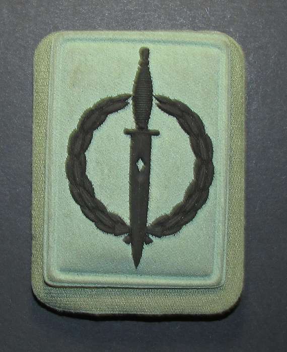 SA Army - Special Forces Operator 10 Years (Recce) Breast Badge