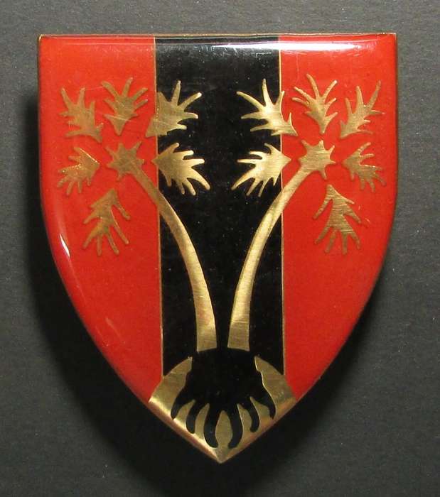 SADF - SWA Provost Shoulder Flash