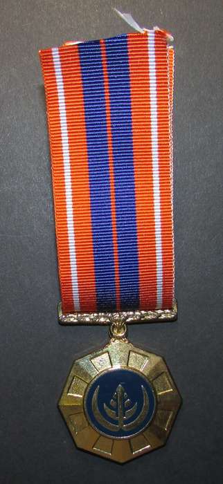 SADF - Full Size Pro Patria Medal