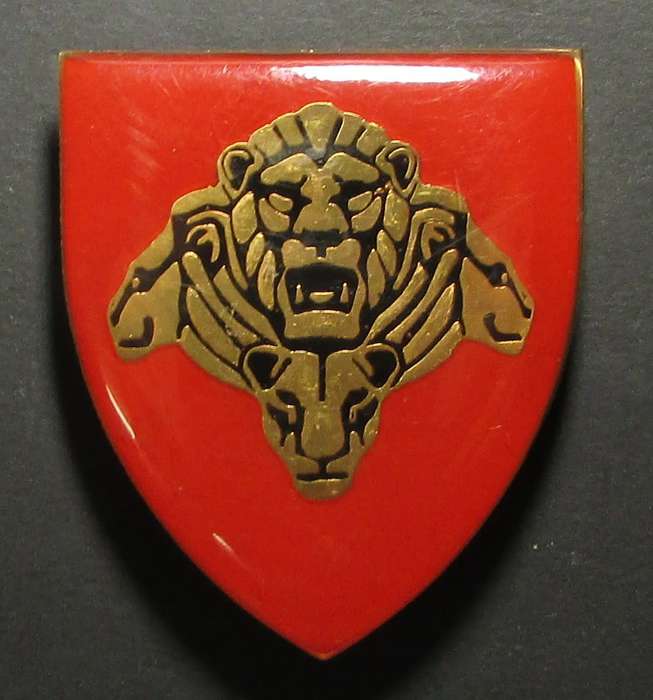 SANDF - Pride of the Nation Shoulder Flash