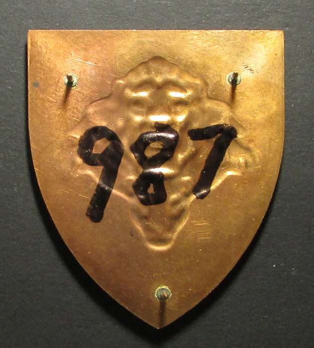 SANDF - Pride of the Nation Shoulder Flash