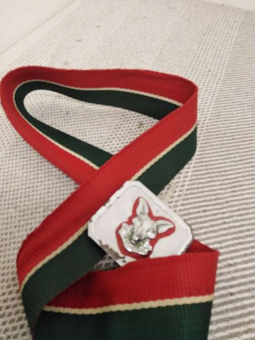 SADF - Intel Belt and Buckle