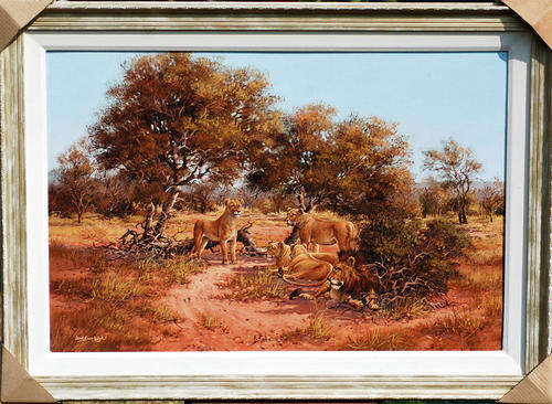 Oil painting Dirk van Wyk oil-102 image size 61-91cm framed