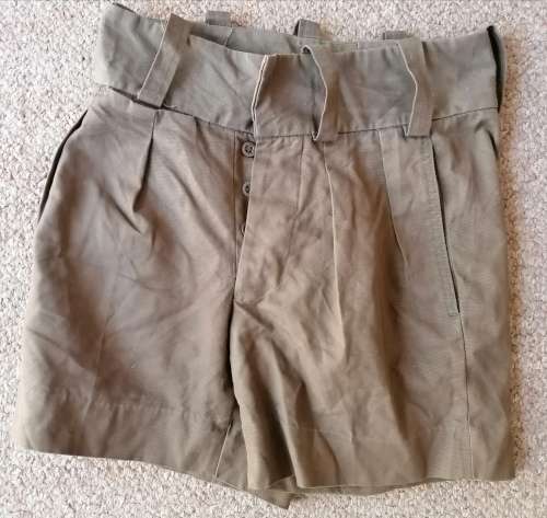 SADF Era Nutria Shorts