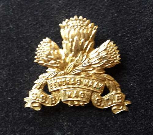 SADF -- Special Service Battalion Cap Badge SSB/SDB (Eendrag Maak Mag)