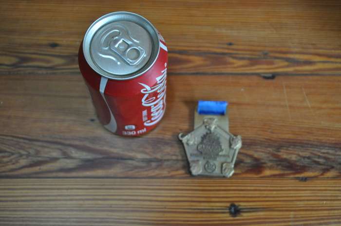 Carousel Sungardens Classic Medal