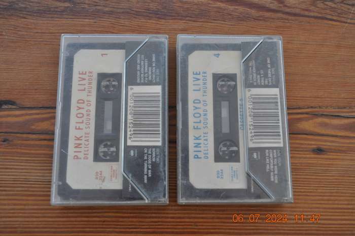 Pink Floyd - Delicate Sound Of Thunder : Live (2 Cassettes)