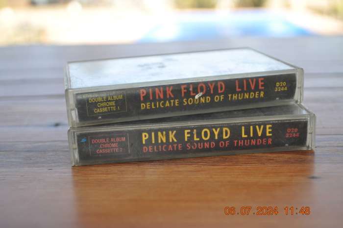 Pink Floyd - Delicate Sound Of Thunder : Live (2 Cassettes)