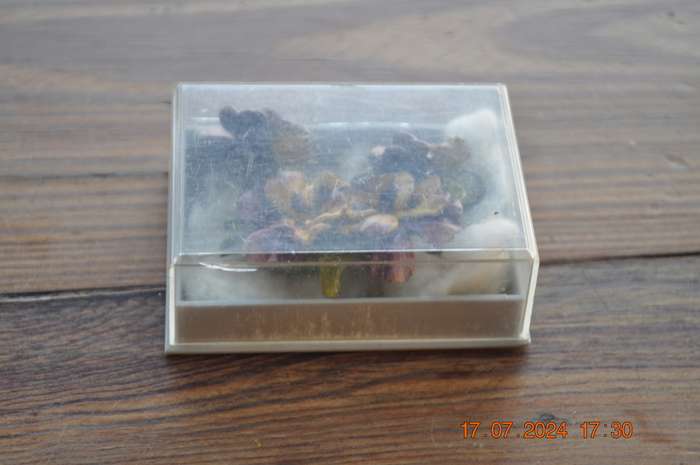 Vintage Floral Brooch and Earring Set