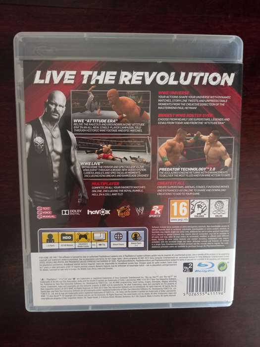 WWE 13