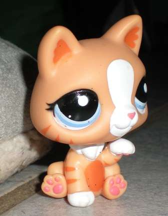 Littlest pet shop, Cat, Tiger Cat Orange