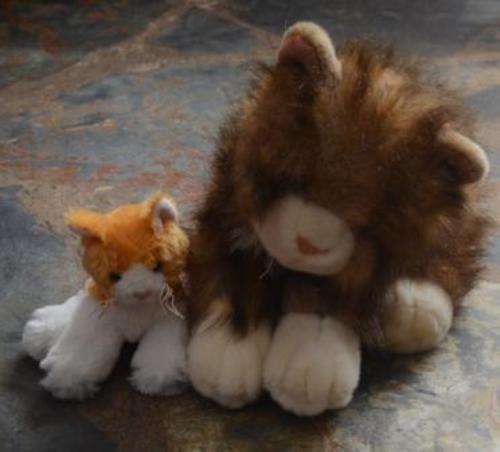 Collectible Soft toys / Teddies  - Cats