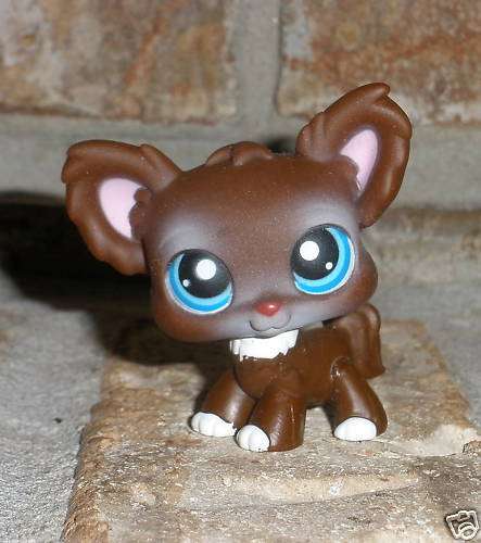 Littlest pet shop, Chocolate Chihuahua, 219